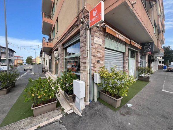 immagine annuncio 0 di 1