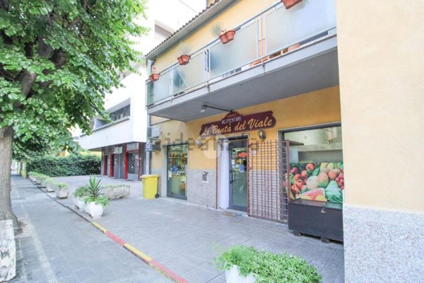 appartamento in vendita a Francavilla al Mare