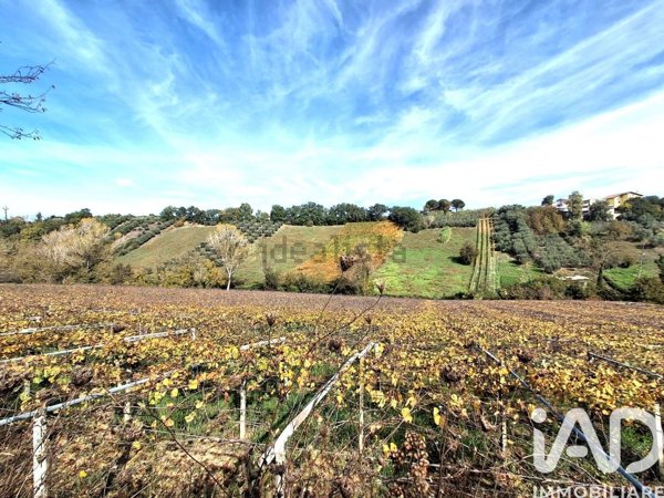 terreno agricolo in vendita a Francavilla al Mare