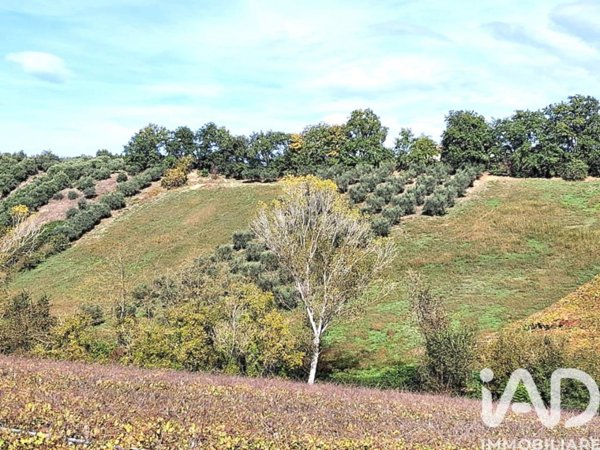 terreno agricolo in vendita a Francavilla al Mare