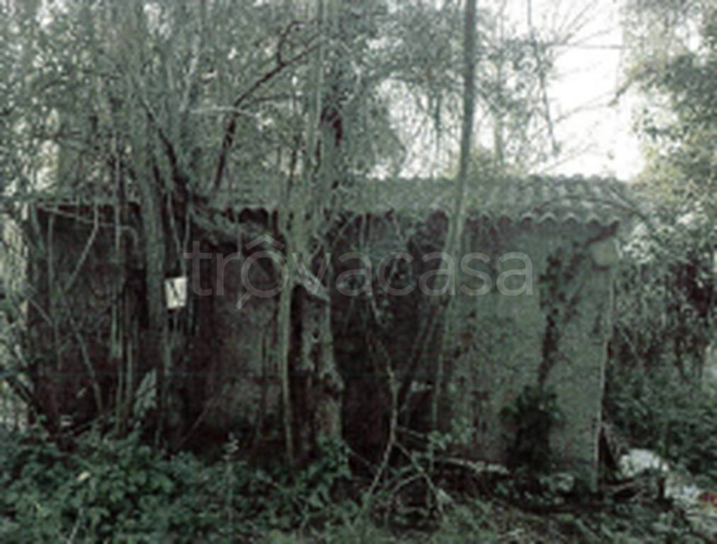 negozio in vendita a Francavilla al Mare