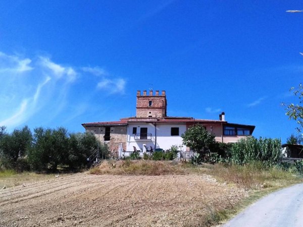 esavano in vendita a Francavilla al Mare
