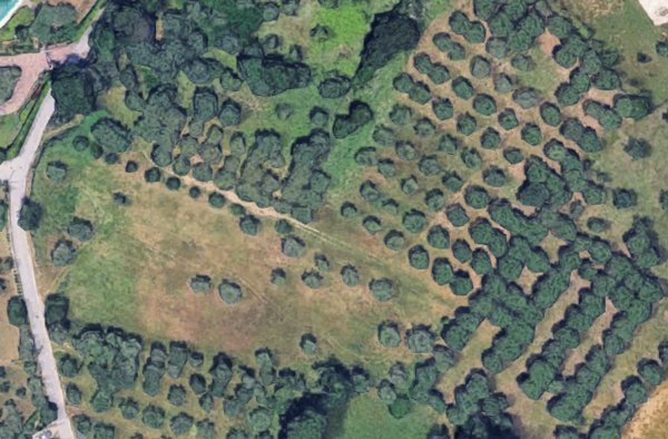 terreno agricolo in vendita a Francavilla al Mare