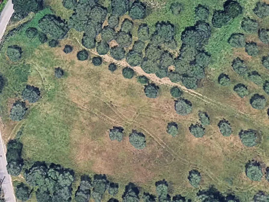terreno agricolo in vendita a Francavilla al Mare