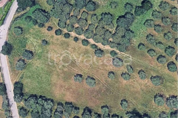 appartamento in vendita a Francavilla al Mare