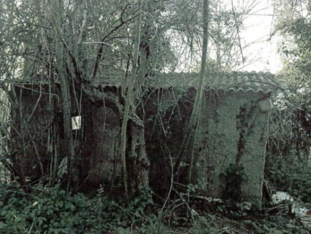 terreno agricolo in vendita a Francavilla al Mare