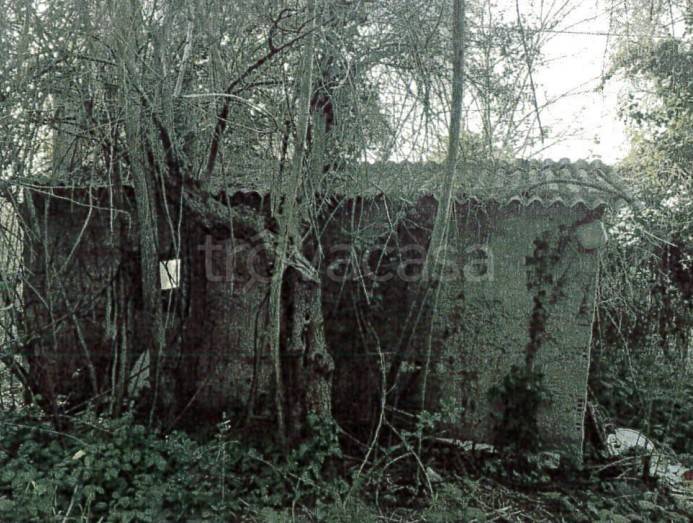 terreno agricolo in vendita a Francavilla al Mare
