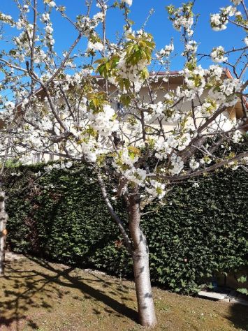 casa indipendente in vendita a Francavilla al Mare in zona Pretaro