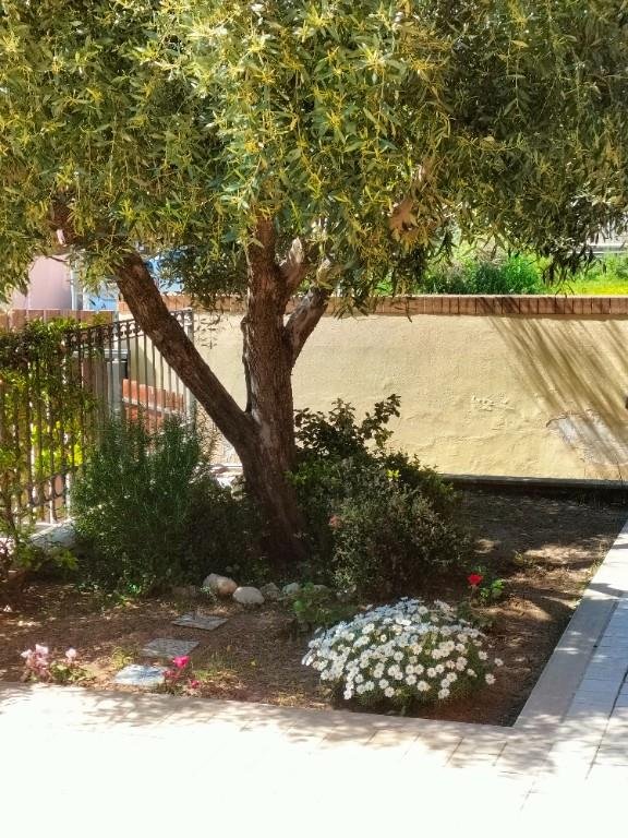 casa indipendente in vendita a Francavilla al Mare in zona Pretaro