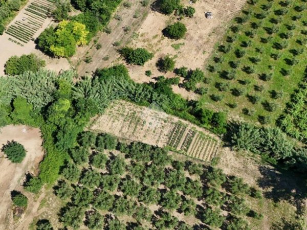 terreno agricolo in vendita a Francavilla al Mare in zona San Giovanni