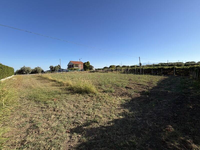 terreno agricolo in vendita a Francavilla al Mare in zona Piane