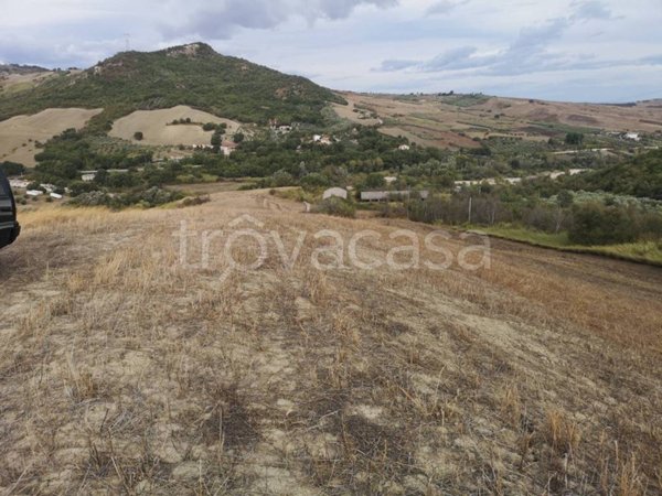 terreno agricolo in vendita a Fresagrandinaria