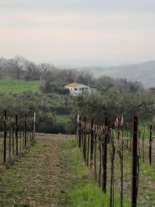 casale in vendita a Fresagrandinaria