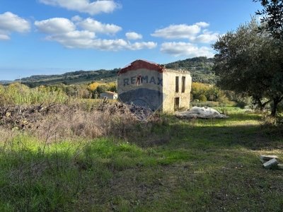 terreno agricolo in vendita a Frisa