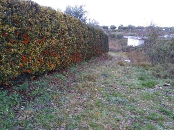 terreno agricolo in vendita a Frisa in zona Guastameroli