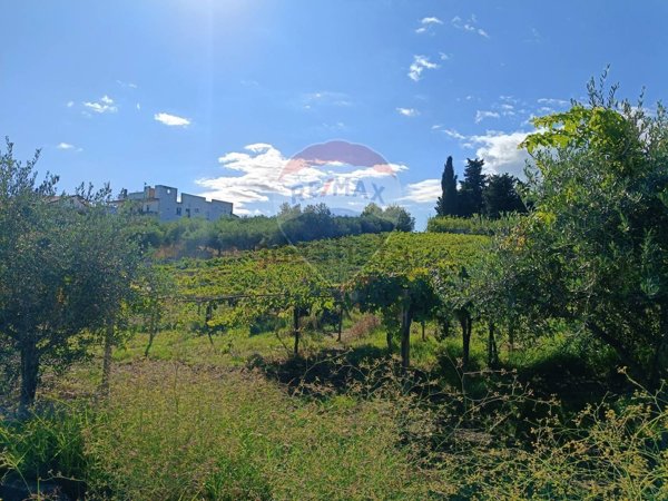 casa indipendente in vendita a Frisa