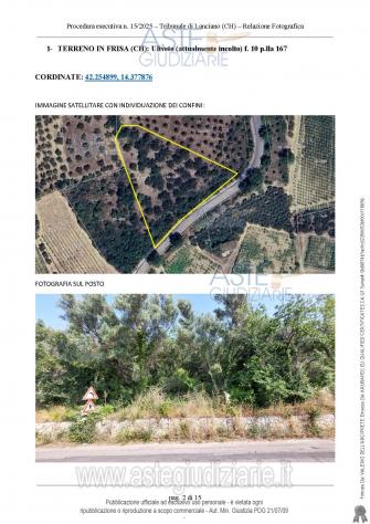 terreno agricolo in vendita a Frisa