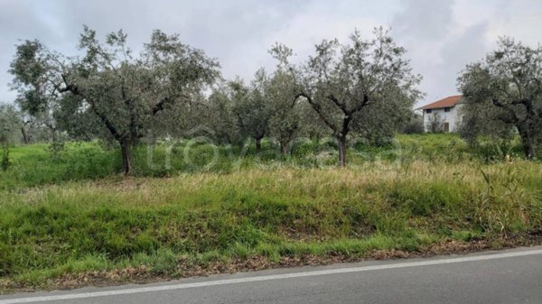 terreno agricolo in vendita a Frisa