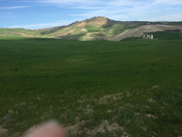 terreno agricolo in vendita a Furci