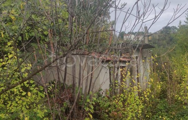 casa indipendente in vendita a Gessopalena