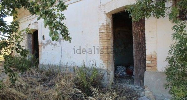 esavano in vendita a Gissi