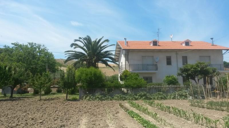 casa indipendente in vendita a Gissi in zona Peschiola