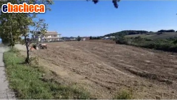 casa indipendente in vendita a Gissi