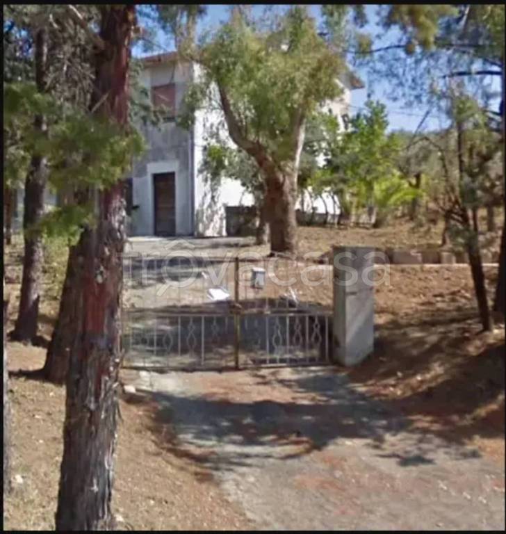 casa indipendente in vendita a Gissi