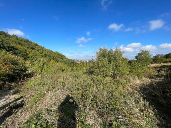 casa indipendente in vendita a Gissi