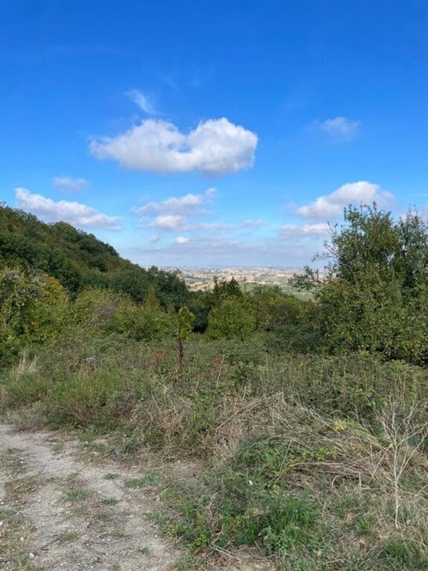 casa indipendente in vendita a Gissi