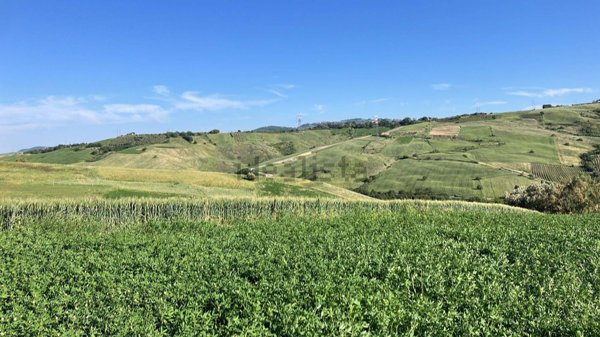 pentavano in vendita a Gissi in zona Tratturo