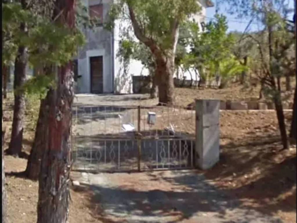 casa indipendente in vendita a Gissi in zona Localita' Rosario
