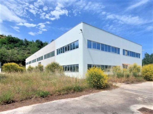 capannone in vendita a Giuliano Teatino