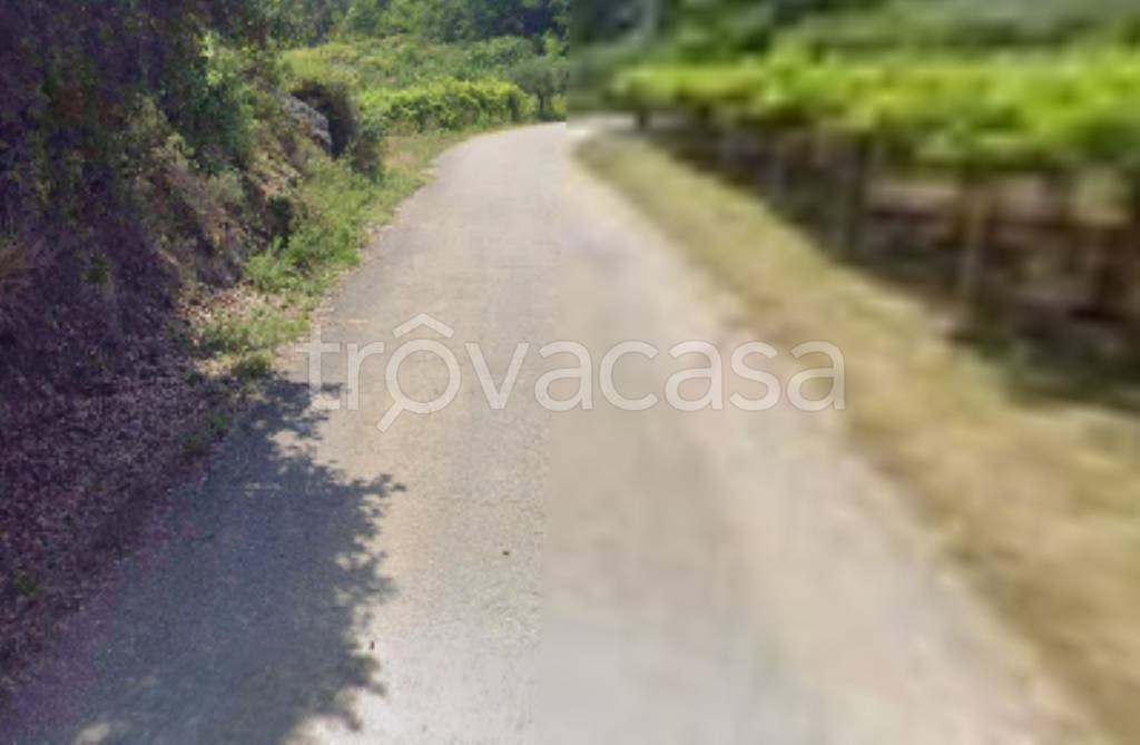 terreno agricolo in vendita a Giuliano Teatino