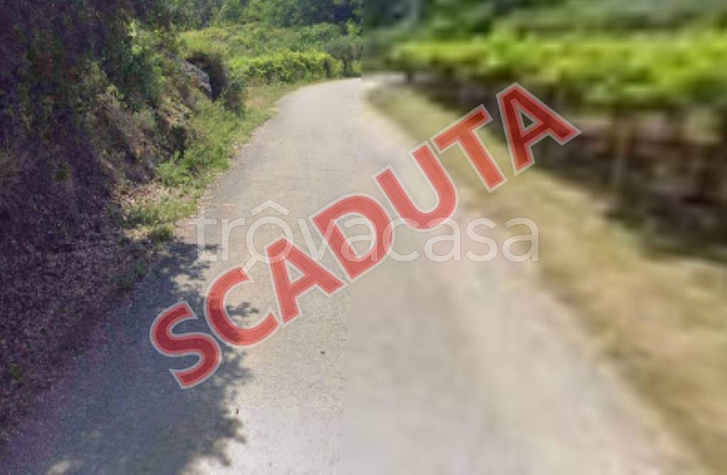 terreno agricolo in vendita a Giuliano Teatino