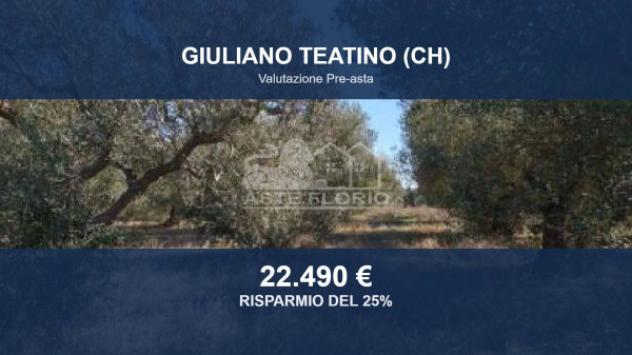 terreno agricolo in vendita a Giuliano Teatino in zona San Rocco