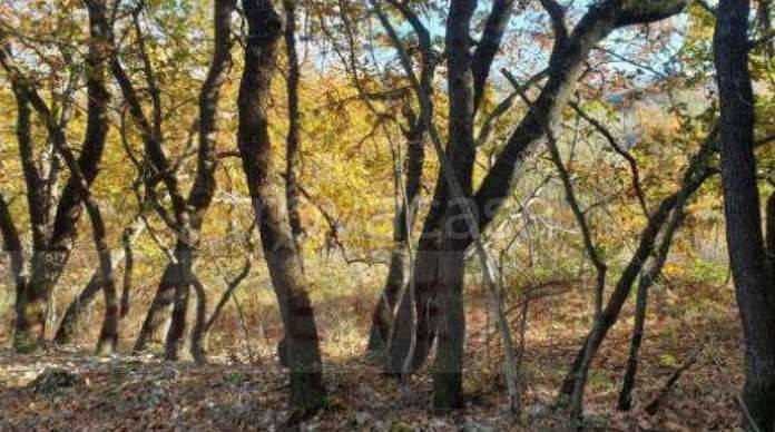 terreno agricolo in vendita a Lama dei Peligni