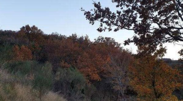 appartamento in vendita a Lama dei Peligni in zona Fonterossi