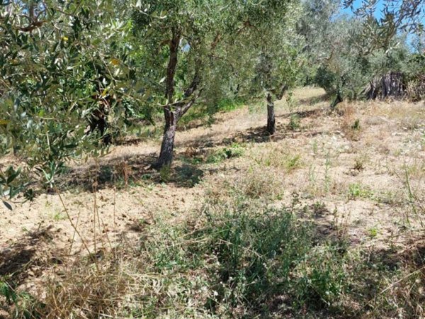 terreno agricolo in vendita a Lanciano in zona Santa Giusta