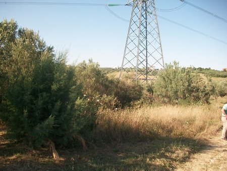 terreno agricolo in vendita a Lanciano