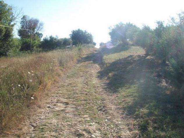 terreno agricolo in vendita a Lanciano