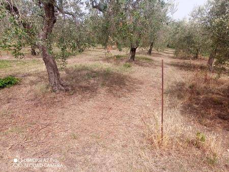 terreno agricolo in vendita a Lanciano