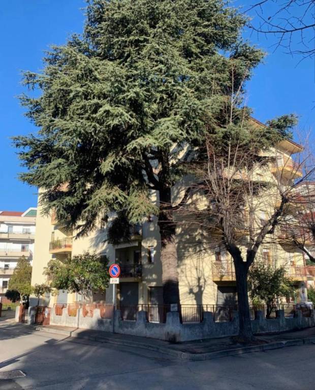 appartamento in vendita a Lanciano