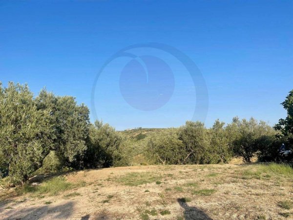 terreno agricolo in vendita a Lanciano in zona Re di Coppe