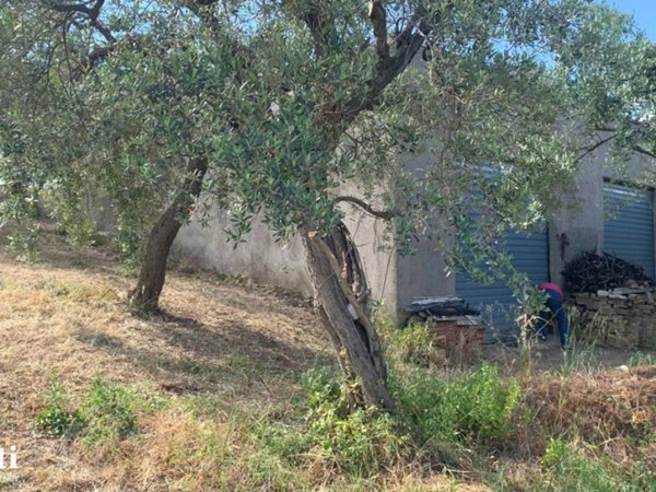 terreno agricolo in vendita a Lanciano in zona Sant'Amato