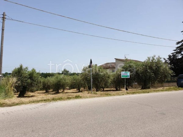 terreno agricolo in vendita a Lanciano in zona Torre Sansone