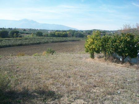 terreno agricolo in vendita a Lanciano
