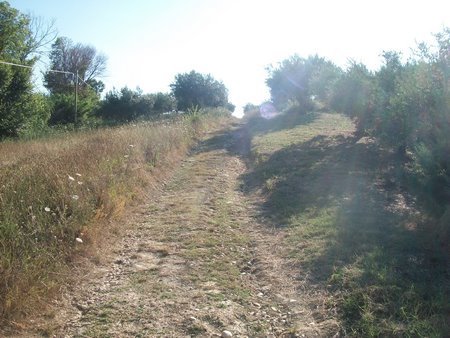 terreno agricolo in vendita a Lanciano in zona Rizzacorno