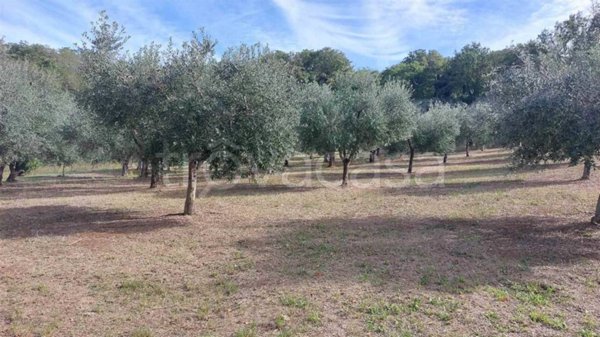 terreno agricolo in vendita a Lanciano in zona Torre Sansone