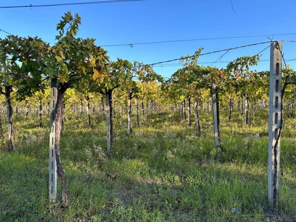 terreno agricolo in vendita a Lanciano